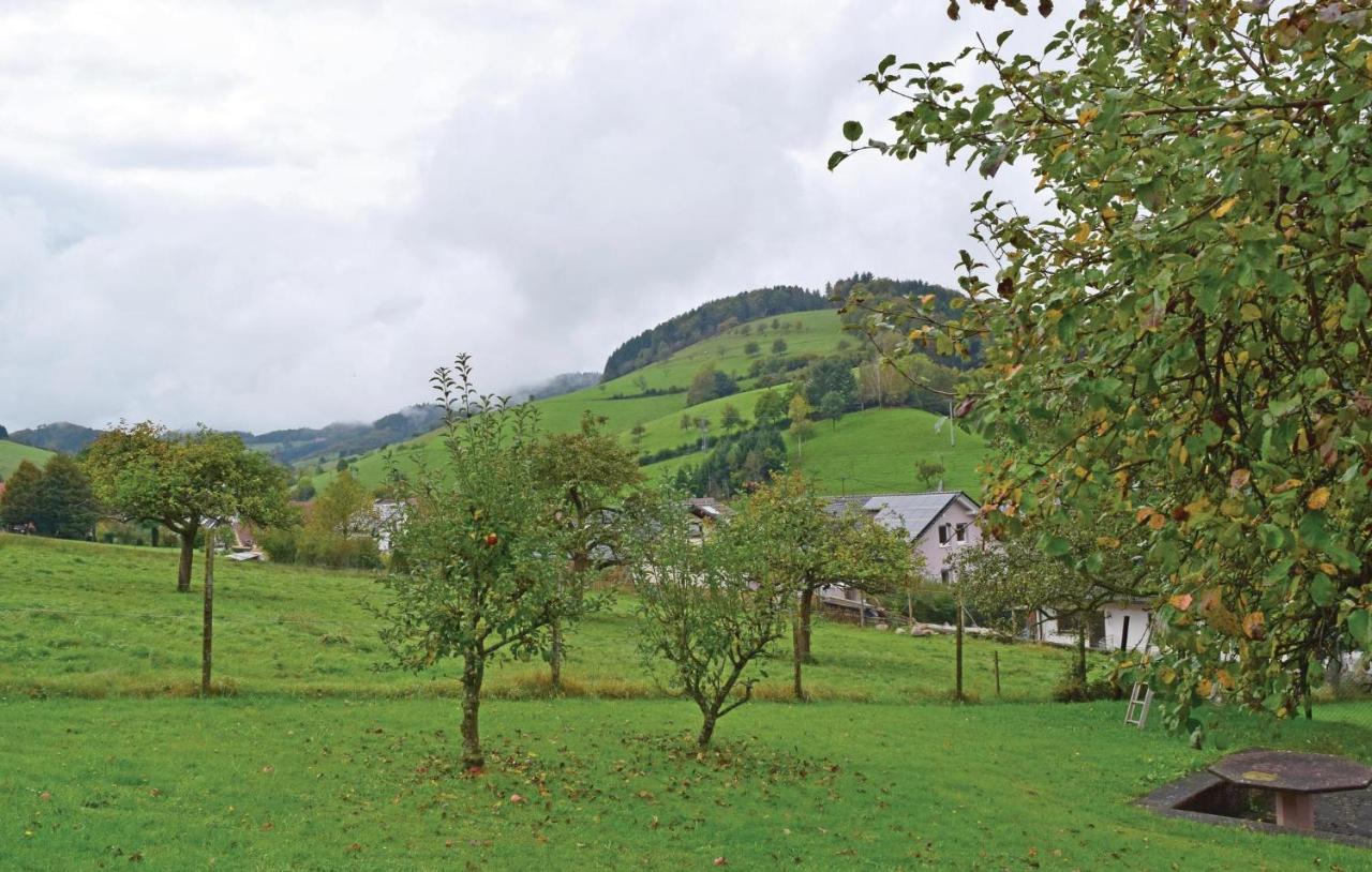 2 Bedroom Awesome Apartment In Welschensteinach ภายนอก รูปภาพ