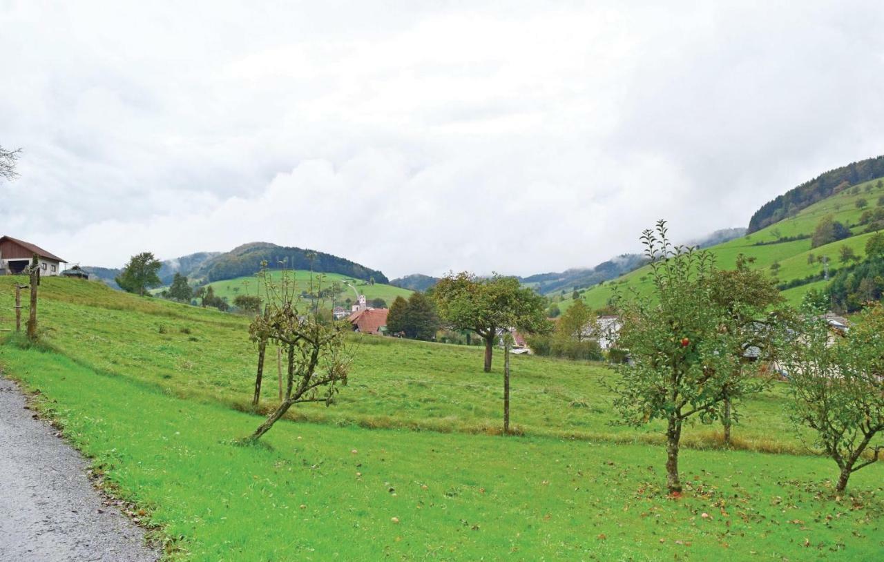 2 Bedroom Awesome Apartment In Welschensteinach ภายนอก รูปภาพ